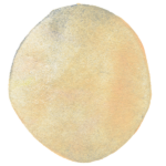 Konflikte mit Kollegen