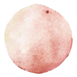 Während der Schwangerschaft